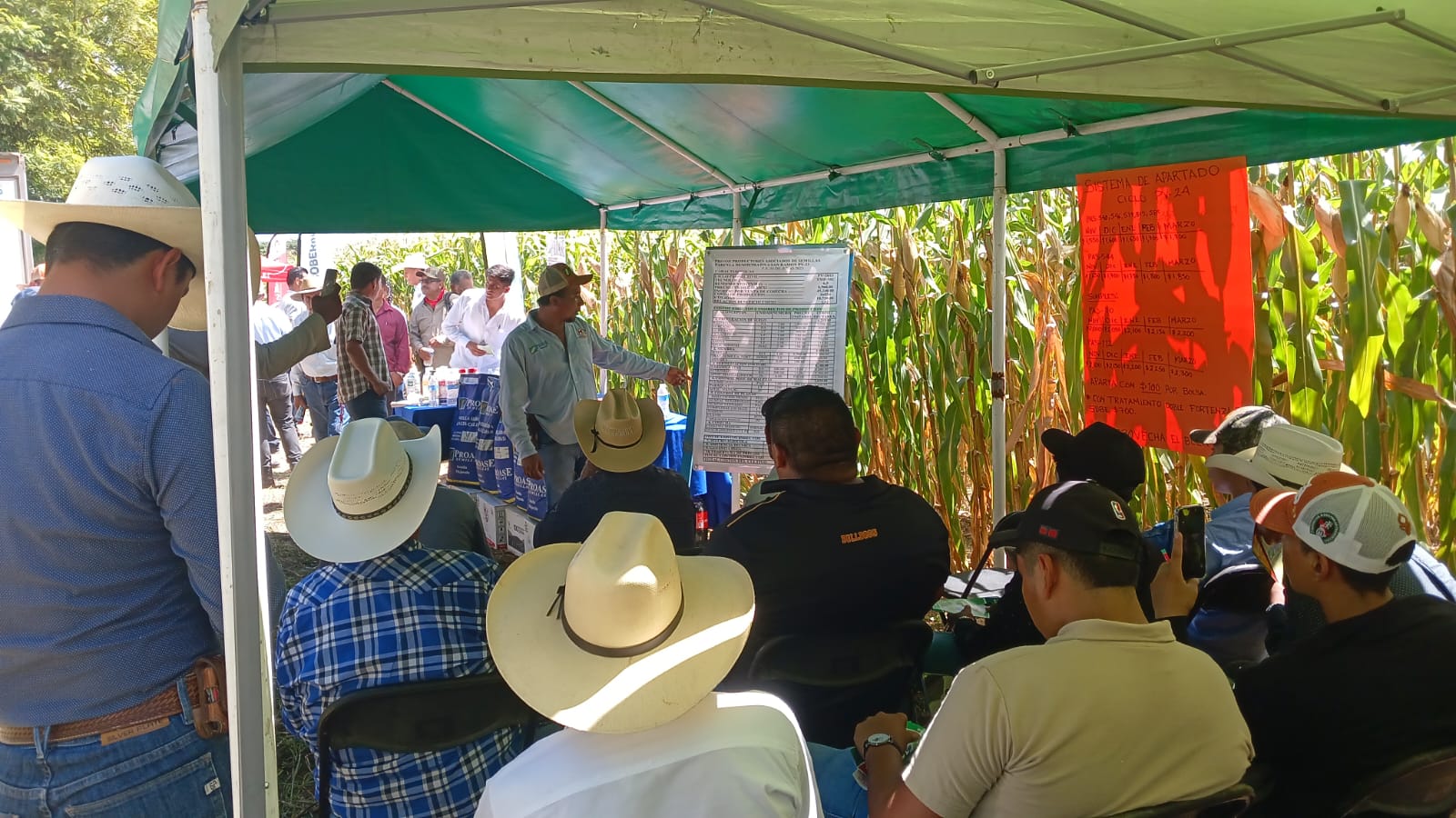 Optimización del cultivo