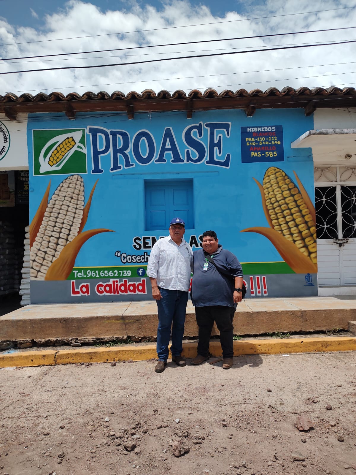 Distribuidores de maíz